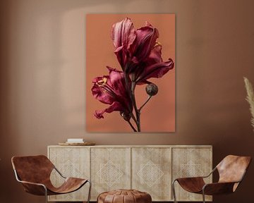 Dried flowers on natural clear background Terracotta by Esmeé Kiewiet