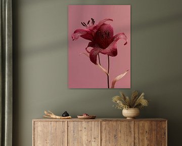 Getrocknete Blumen auf natürlichem, klarem Hintergrund Rosa von Esmeé Kiewiet