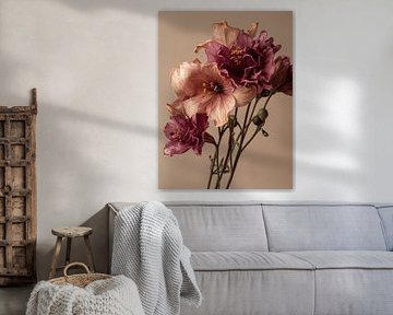 Dried flowers on natural clear background beige by Esmeé Kiewiet