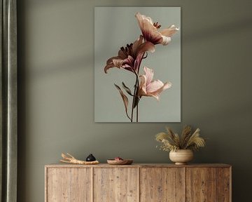 Dried flowers on natural clear background Grey by Esmeé Kiewiet