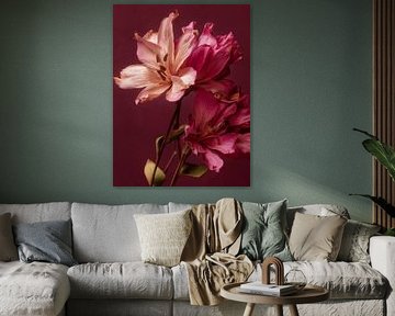 Dried flowers on natural clear background Red by Esmeé Kiewiet