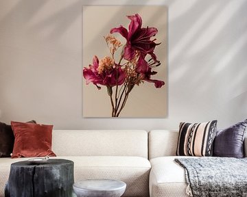 Droogbloemen on natural clear background Roze