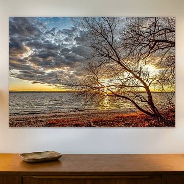 Coucher de soleil sur le lac de Constance sur Dieter Walther