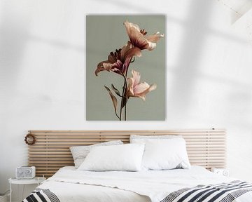 Dried flowers on a natural clear background Soft grey by Esmeé Kiewiet