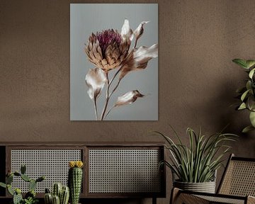 Silver metallic Dried flowers on natural clear background by Esmeé Kiewiet