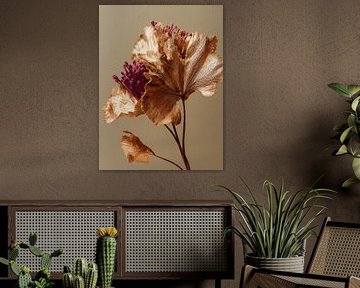 Gold dried flowers on a natural clear background by Esmeé Kiewiet