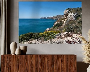 Rocky coastline and the calm blue Mediterranean Sea by Adriana Mueller