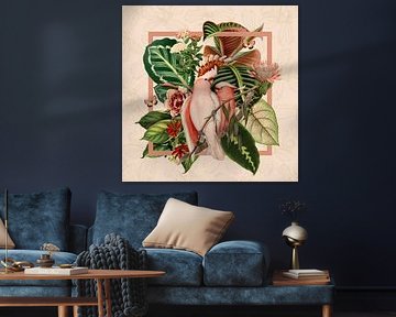 Cockatoo in the context of botanical elements