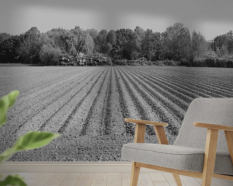 Raumvorschau