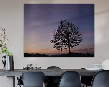 Tree and moon in the morning light by Roger Trelou