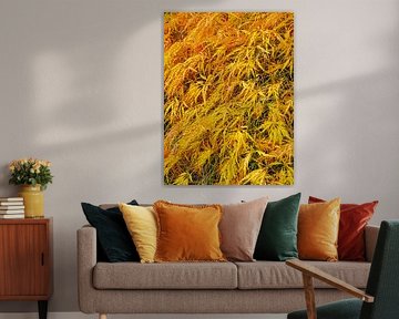 Gold leaf by Roger Trelou