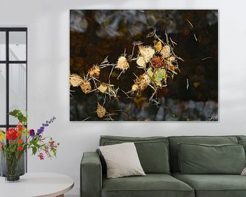 Hell und dunkel von Roger Trelou