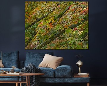 Beginning of autumn by Roger Trelou