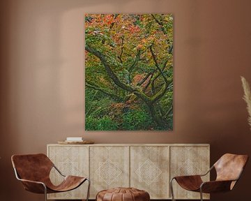 Colour and texture by Roger Trelou