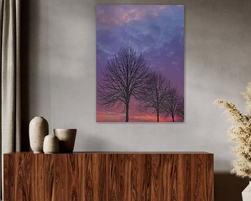 Arbres au crépuscule