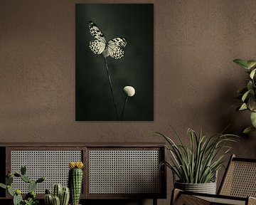 Stilleven van een vlinder van Clazien Boot