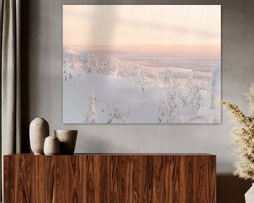 Coucher de soleil et arbres enneigés | Photographie de voyage imprimée | Laponie, Finlande