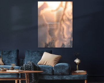 Sunset view with snow-covered branches in Lapland | travel photography print by Kimberley Jekel