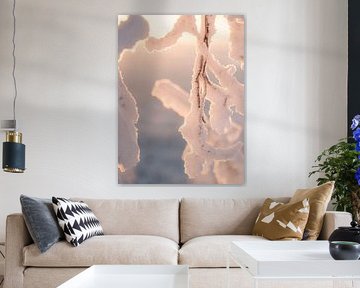 Gros plan sur une branche enneigée et le coucher du soleil | photographie de voyage imprimée | Laponie, Finlande