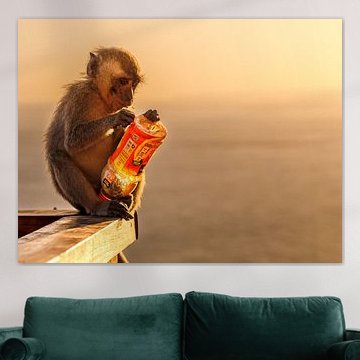Little monkey by Eveliene Deetman