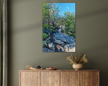 Wandern in El Chalten