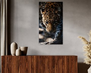 Golden Gaze – Luipaardportret van Urbanwolves