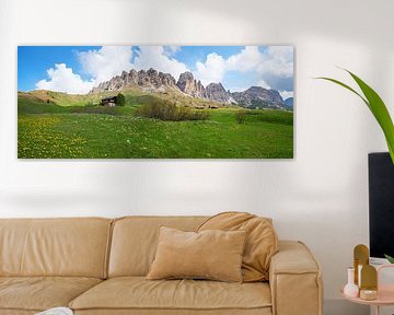 Alpenlandschaft Grödnerjoch mit Alpenblumen Südtirol von SusaZoom