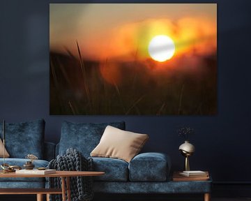 aurora van fantasina