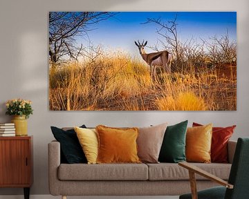 Springbok in de vroege ochtend in de Kalahari woestijn, Namibië van Rietje Bulthuis