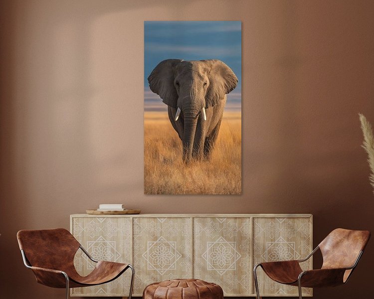 Aperçu de la chambre