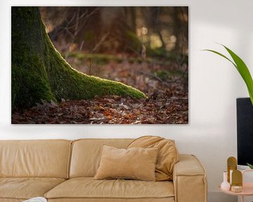 In Licht verwurzelt von Miranda Geerts Art