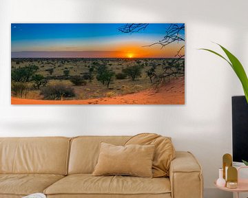 Bunte Sonnenaufgang in der Kalahari-Wüste, Namibia