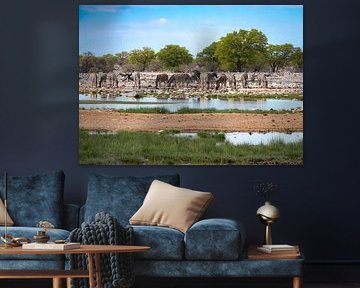 Zebras an den Wasserstellen von Etosha von Willemijn Wolthaus