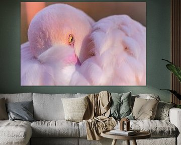 Versteckter Blick in Rosa – Großer Flamingo von Triki Photography