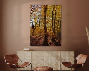 Autumn forest by Roger Trelou