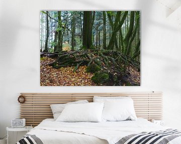 La forêt silencieuse