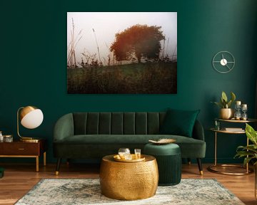 herfstboom van Augen | Blicke Foto-Art