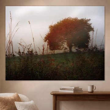 autumn tree by Augen | Blicke Foto-Art