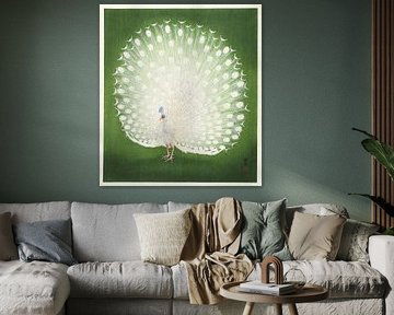 Pfau von Pictufy