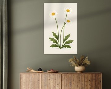 Margerite, botanische Illustration im minimalistischen Stil von Eduard Broekhuijsen