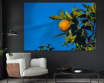 sinaasappel met blauwe lucht van Fred Leeflang