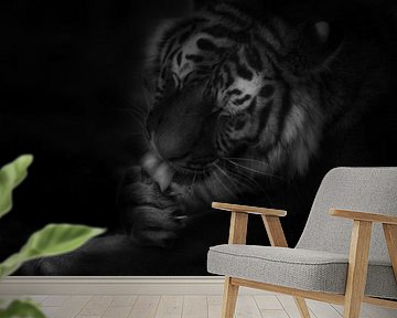 Tiger von Ruud Peters