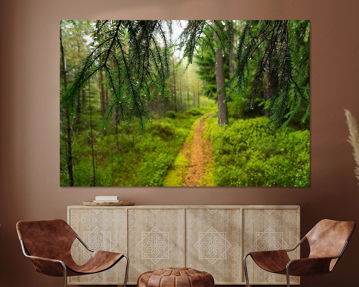 Raumvorschau