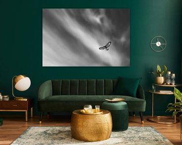 Boeienvalk in de lucht van Detlef Schöler Fotografie