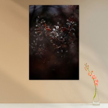 Ein kleines bisschen Licht. von Justin Sinner Photography (Fotograf auf Texel)