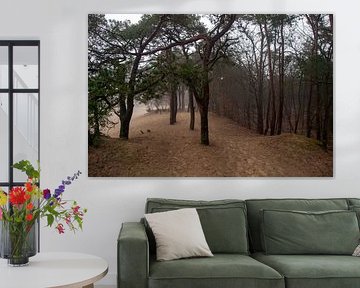 Baumreihe im Sand der Soesterduinen von wil spijker