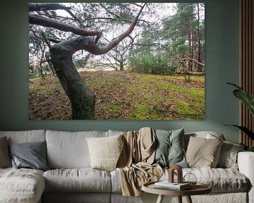 'Ver'Takkingen in Soesterduinen von wil spijker