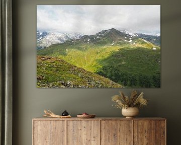 Springtime floral diversity in the Vinschgau mountains – alpine snowbells, cotton grass and alpine meadows against an impressive backdrop of mountain peaks. by Miriam Schwarzfischer Fotografie