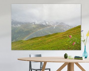 Springtime floral diversity in the Vinschgau mountains – alpine snowbells, cotton grass and alpine meadows against an impressive backdrop of mountain peaks. by Miriam Schwarzfischer Fotografie