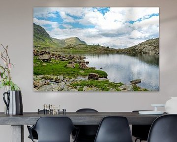 Springtime floral diversity in the Vinschgau mountains – alpine snowbells, cotton grass and alpine meadows against an impressive backdrop of mountain peaks. by Miriam Schwarzfischer Fotografie